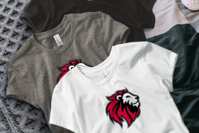 Park Elementary Lions Tees (Option 1) Banner