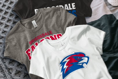 BRIGGSDALE HIGH SCHOOL FALCONS Tees (Option 1) Banner