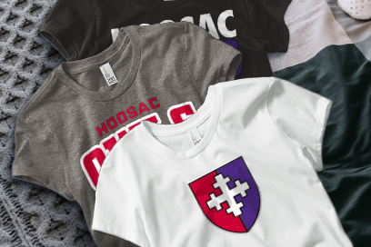 HOOSAC OWLS ONLINE STORE Tees (Option 1) Banner