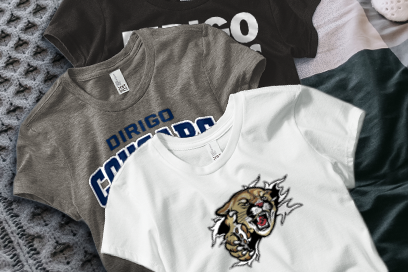 DIRIGO HIGH SCHOOL COUGARS Tees (Option 1) Banner