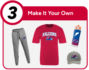 BRIGGSDALE HIGH SCHOOL FALCONS Customize It Banner - Step 3 Banner