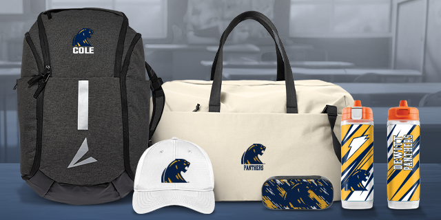 Dewitt  Panthers Secondary Marketing Banner Banner