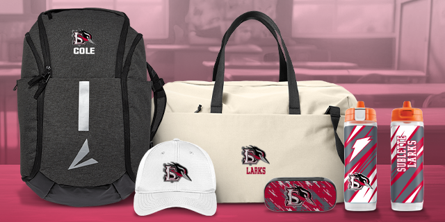 SUBLETTE HIGH SCHOOL LARKS Secondary Marketing Banner Banner