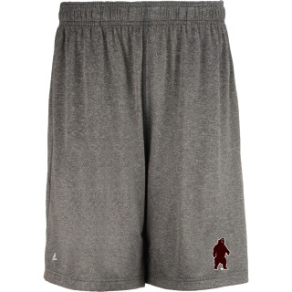Official Boston Red Sox Shorts, Red Sox Gym Shorts, Performance Shorts