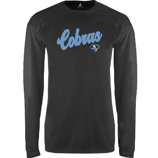 MLB Tampa Bay Rays Men's Long Sleeve Core T-Shirt - S