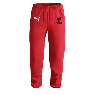 Onesport Women Cotton Spandex Jersey Red Track Pants at Rs 325