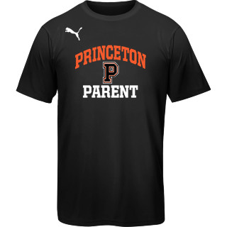 Princeton Tigers Sweatshirt/ Custom School Shirts