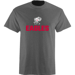 Philadelphia Eagles Playoffs T-Shirt - HollyTees
