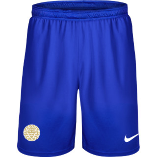 Nike Flex Woven Pocket Short