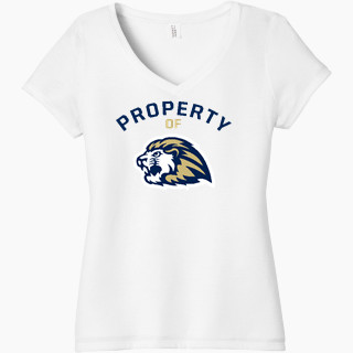District Women's Perfect Tri V-Neck T-Shirt